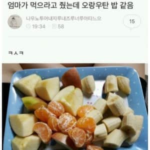 엄마가 줬는데 오랑우탄 밥같음