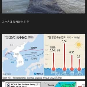 점점 고급화 되어가는 식재료
