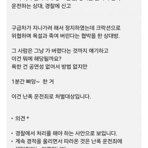 구급차 양보해줬다가 개쌍욕 먹은 제보자 