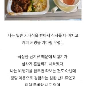 대한항공 몽골행 난기류 경험담