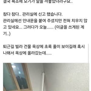 SH 임대 빌라의 식물빌런  