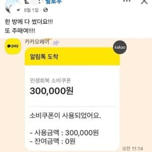 한 방에 다 썼더요!! 또 주때여!!!! 민생쿠폰 근황 