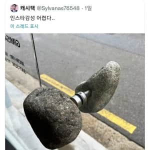 결국 석기 시대까지 가버린 인스타 갬성 근황