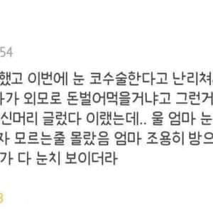 딸 성형 반대하는 아빠