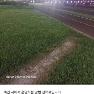 산책하던 견주한테 시비거는 캣맘들 