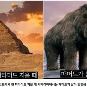 뇌정지 온다는 세계의 역사가 겹치는 순간들