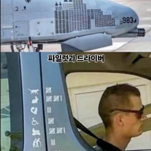 파일럿과 드라이버의 차이..  