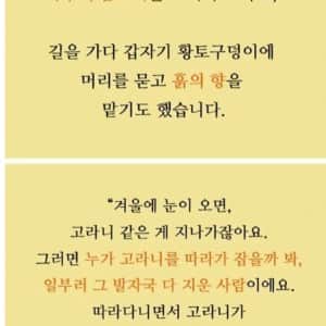 12년 전, 대한민국을 발칵 뒤집었던 '자연인'의 진짜 정체