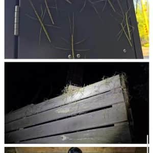 (약혐) 러브버그 떠난 인천 근황