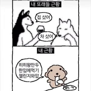 30대 직장인 빼박 특징