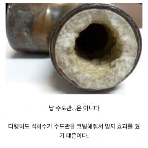 로마 제국의 납 중독이 심각했던 이유