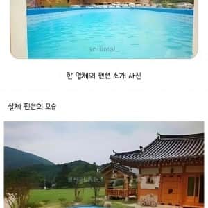 어메이징.. 펜션 과대광고 레전드