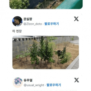 텃밭 초보들이 가장 많이 하는 실수 