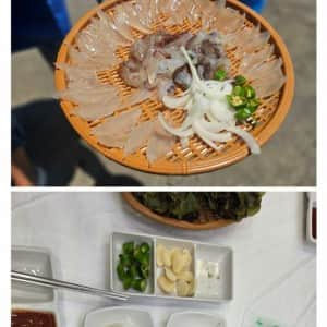 속초 한마리당 2만 8천원 오징어회 클라스 