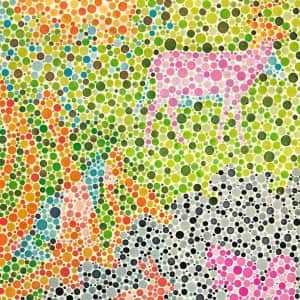 색약/색맹만 찾을 수 있다는 동물 그림