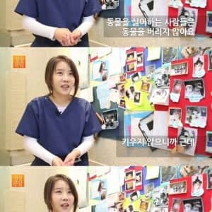 동물을 싫어하는 사람은 동물을 버리지 않는다. 