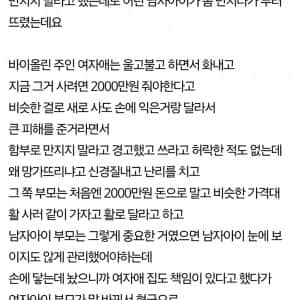바이올린 실수로 망가뜨린 아이
