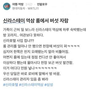 강남 4성급 호텔 룸에서 자라나는 버섯