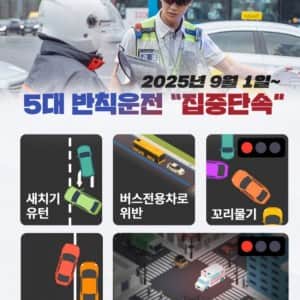 9월 1일부터 경찰 집중 단속 시작되는 분야