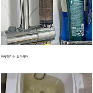 현재 난리난 강릉시민들 상황