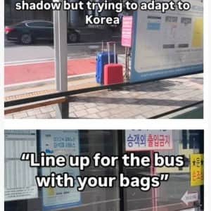 케데헌 영향으로 한국 오는 사람들도 이런거에 감탄한다...