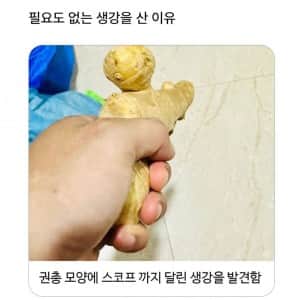 필요도 없는 생강을 산 이유 