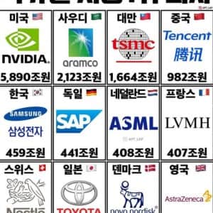 국가별 시총 1위 기업