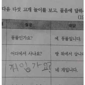 조카 문제 대신 풀어줬는데 틀림