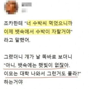 조카가 테토남일 때