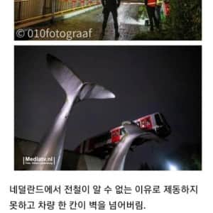 대참사를 막은 예술 조형물