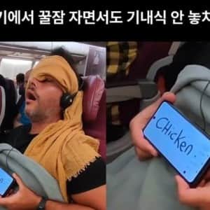 비행기 꿀잠자면서 기내식도 안놓치는 방법