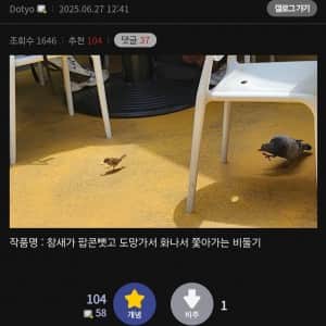 디시 사진갤러가 순간 캡쳐한 사진