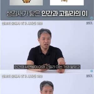 인간에게 사면발이가 생긴 이유