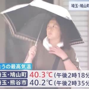 돌아버린 일본 기온 근황
