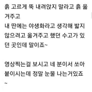 어메이징 시골인심 