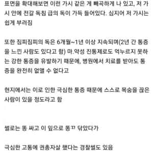 호주에서 건드리면 ㅈ되는 식물