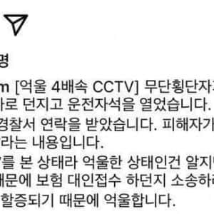 보배펌) 무단횡단 사고로 억울하다는 차주