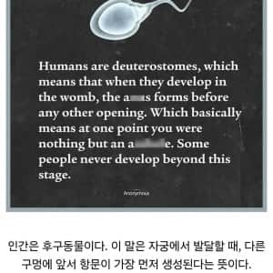인간에게 가장 먼저 생기는 구멍