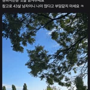 여의도 불꽃축제.. 영포티햄 신작