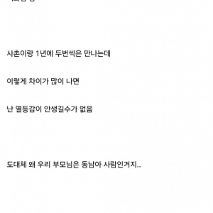 베트남 혼혈이라서 살아가는 게 고통스럽다는 디시인 