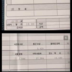 28세 일본 치과의사 급여 명세표 