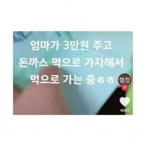 사기당한 초등생 유튜버..  결국 휴방 