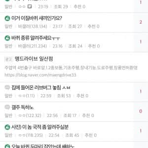 요즘 미친듯이 많이 보인다는 벌레