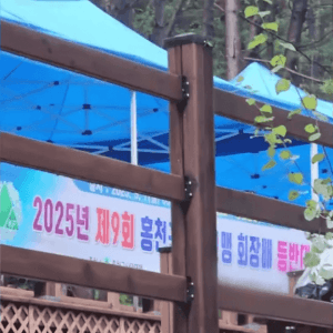 따끈따끈한 홍천 등반대회 불법 화기 취사 사건