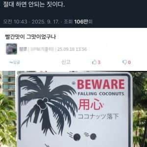 레드벨벳 빨간맛의 진실
