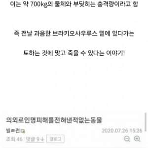 브라키오사우루스가 매우 위험한 공룡인 이유