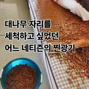 대나무자리를 세척하는 소름돋는 광기 