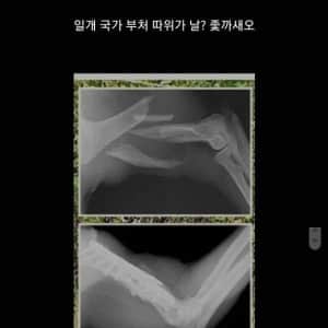 지리산 방생 반달곰 오삼이의 일생 
