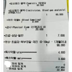 애견 키우다가 유기하는 가장 큰 이유 중 하나