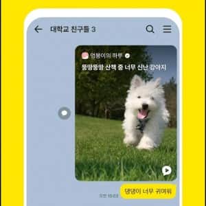 카카오톡 사태 이후 소개문구 변경한 네이트온 근황